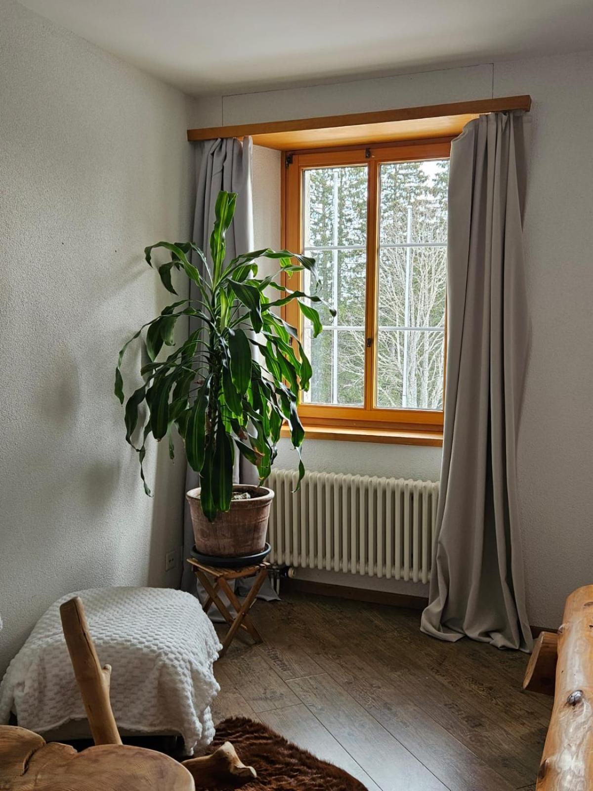 Hotel Restaurant Du Marchairuz Le Brassus Eksteriør bilde