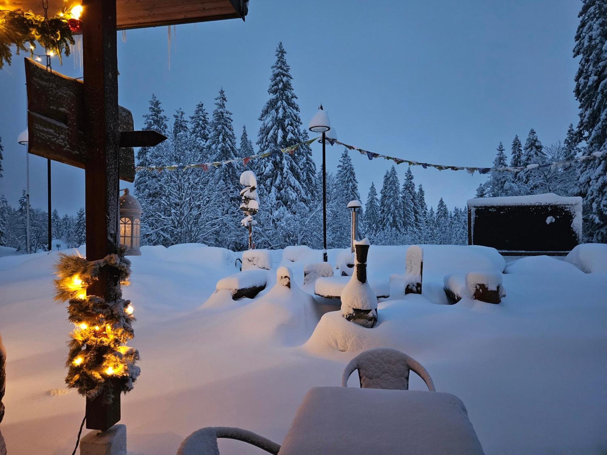 Hotel Restaurant Du Marchairuz Le Brassus Eksteriør bilde